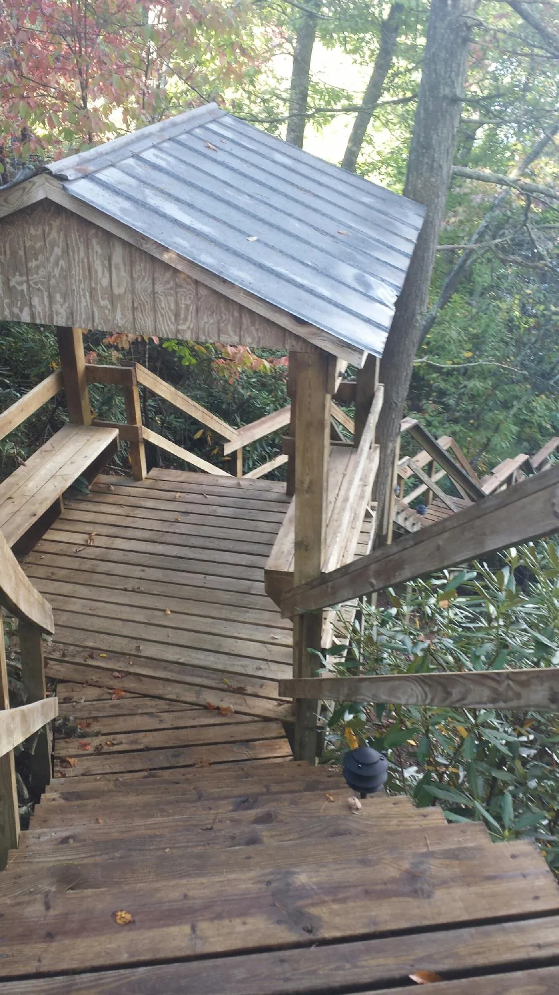 Metal roofed shelter over wooden steps on a wooded walkway in Westover